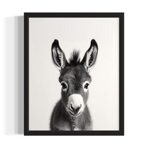 Donkey Animal Black and White Poster Art Print, Living Room Wall Art Poster, Original Paint Artwork, Artwork Decor