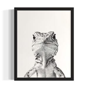 Iguana Animal Black and White Poster Art Print, Living Room Wall Art Poster, Original Paint Artwork, Artwork Decor