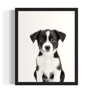 Póster artístico en blanco y negro de cachorros de Bretaña, póster de arte mural para sala de estar, obra de arte original, decoración artística