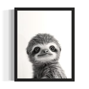 Sloth Animal Black and White Poster Art Print, Living Room Wall Art Poster, Original Paint Artwork, Artwork Decor