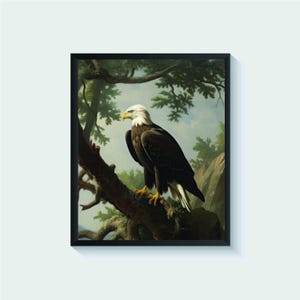 Bald Eagle Bird Vintage Art Print, Wall Art Poster, Original Paint Artwork, Artwork Decor
