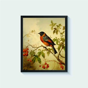 Robin Bird Vintage Art Print, Wall Art Poster, Original Paint Artwork, Artwork Decor