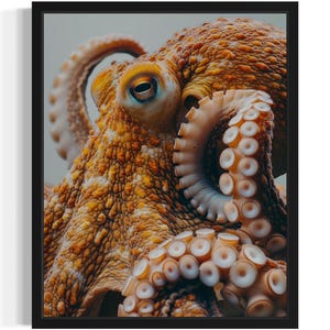 Octopus Animal Wildlife Art Print, Wall Art Poster, Original Paint Artwork, Artwork Decor