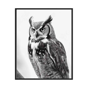 Great Horned Owl Black and White Animal Art Print, Wall Art Poster, Original Paint Artwork, Artwork Decor
