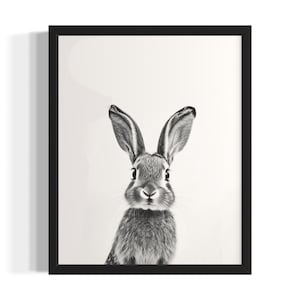 Hare Animal Black and White Poster Art Print, Living Room Wall Art Poster, Original Paint Artwork, Artwork Decor