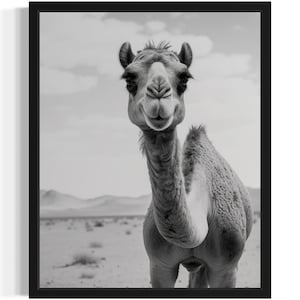 Camel Black and White Animal Art Print, Wall Art Poster, Original Paint Artwork, Artwork Decor