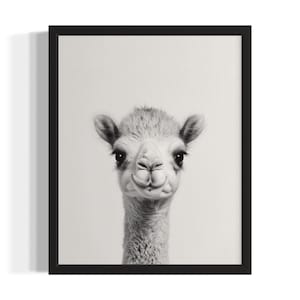 Camel Animal Black and White Poster Art Print, Living Room Wall Art Poster, Original Paint Artwork, Artwork Decor