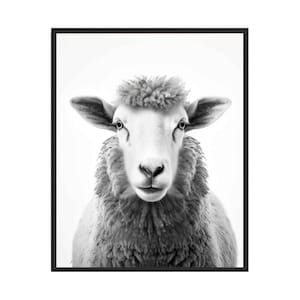 Impressão de arte animal em preto e branco de ovelha, pôster de arte de parede, arte de pintura original, decoração de arte