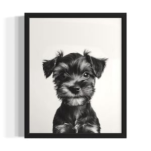 Miniature Schnauzer Puppies Black and White Poster Art Print, Living Room Wall Art Poster, Original Paint Artwork, Artwork Decor