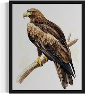 Golden Eagle Bird Watercolor Art Print, Wall Art Poster, Original Paint Artwork, Artwork Decor
