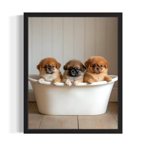 Pekingese Puppies in Bathtub Poster Art Print, Bathroom Wall Art Poster, Original Paint Artwork, Artwork Decor