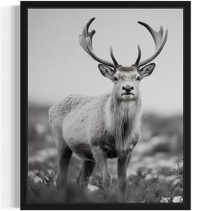 Impresión artística de animales en blanco y negro de reno, póster de arte de pared, obra de arte de pintura original, decoración de obras de arte