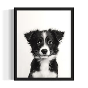 Collie Puppies Black and White Poster Art Print, Living Room Wall Art Poster, Original Paint Artwork, Artwork Decor