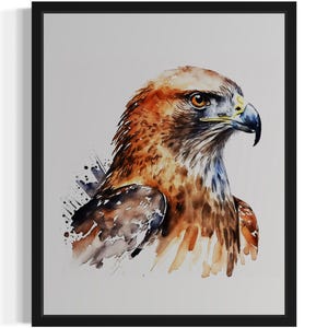 Hawk Bird Watercolor Art Print, Wall Art Poster, Original Paint Artwork, Artwork Decor