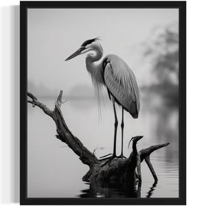 Heron Black and White Animal Art Print, Wall Art Poster, Original Paint Artwork, Artwork Decor