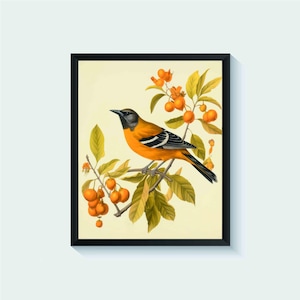 Oriole Bird Vintage Art Print, Wall Art Poster, Original Paint Artwork, Artwork Decor
