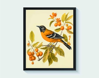 Oriole Bird Vintage Art Print, Wall Art Poster, Original Paint Artwork, Artwork Decor