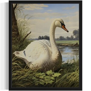 Impresión artística de aves acuáticas cisne de Bewick, póster de arte de pared, obra de arte de pintura original, decoración de obras de arte