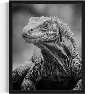 Komodo Dragon Black and White Animal Art Print, Wall Art Poster, Original Paint Artwork, Artwork Decor