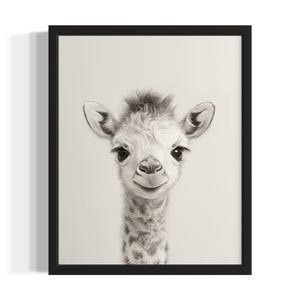 Giraffe Tier Schwarz Weiß Poster Art Print, Wohnzimmer Wand Kunst Poster, Original Farbe Kunstwerk, Kunstwerk Decor