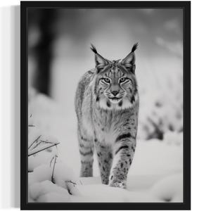 Lynx Black and White Animal Art Print, Wall Art Poster, Original Paint Artwork, Artwork Decor