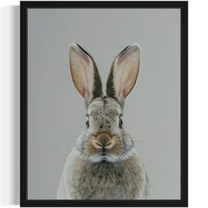 Bunny Animal Wildlife Art Print, Wall Art Poster, Original Paint Artwork, Artwork Decor