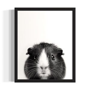 Cavia dier zwart-wit poster Art Print, woonkamer muur kunstposter, originele verf artwork, artwork decor