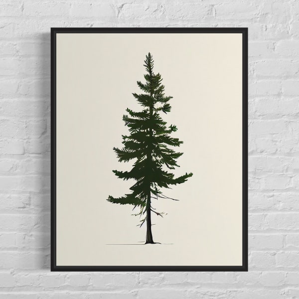 Balsam Fir Tree Art Print  Balsam Fir Tree Minimalist Poster