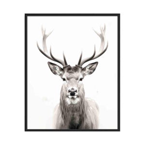 Deer Black and White Animal Art Print, Wall Art Poster, Original Paint Artwork, Artwork Decor