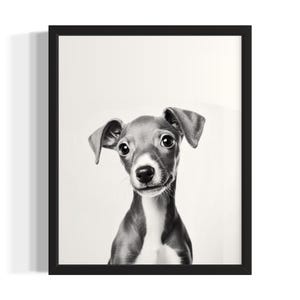 Whippet Puppies Black and White Poster Art Print, Living Room Wall Art Poster, Original Paint Artwork, Artwork Decor