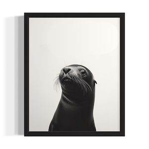 Seal Animal Black and White Poster Art Print, Living Room Wall Art Poster, Original Paint Artwork, Artwork Decor