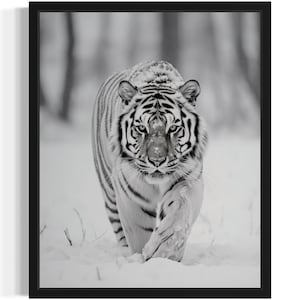 Siberian Tiger Black and White Animal Art Print, Wall Art Poster, Original Paint Artwork, Artwork Decor
