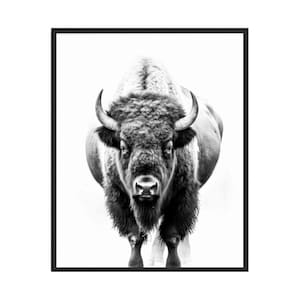 Bison Black and White Animal Art Print, Wall Art Poster, Original Paint Artwork, Artwork Decor