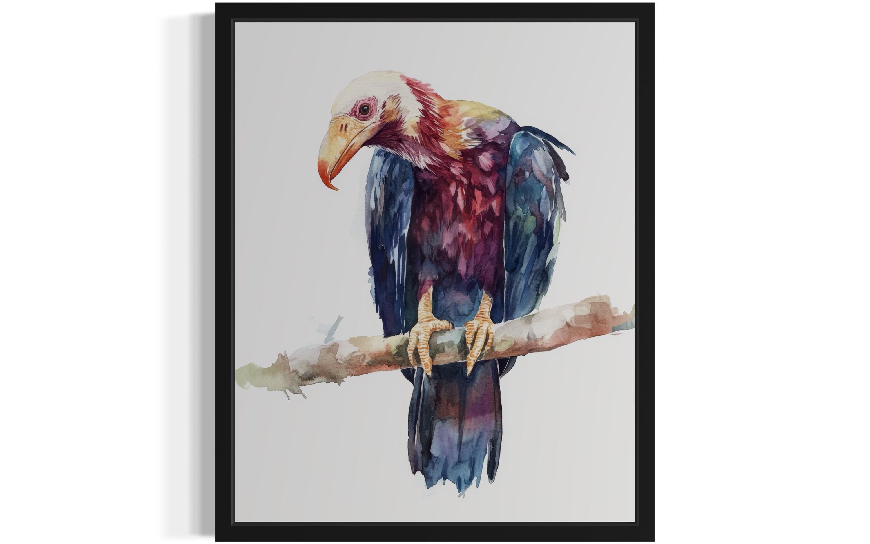 Condor Bird Watercolor Art Print, Wall Art Poster, Original Paint Artwork, Artwork Decor