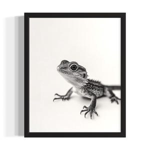 Eidechse Tier Schwarz Weiß Poster Kunst Druck, Wohnzimmer Wand Kunst Poster, Original Farbe Kunstwerk, Kunstwerk Dekor