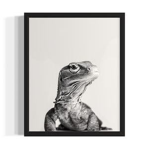 Komodo Dragon Animal Black and White Poster Art Print, Living Room Wall Art Poster, Original Paint Artwork, Artwork Decor
