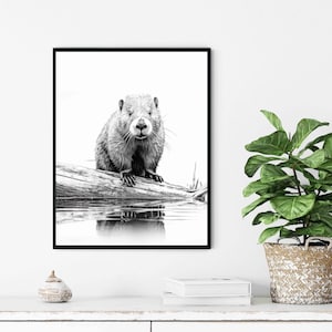 Beaver Black and White Animal Art Print, Wall Art Poster, Original Paint Artwork, Artwork Decor