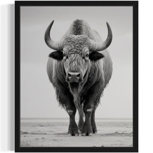 Buffalo Black and White Animal Art Print, Wall Art Poster, Original Paint Artwork, Artwork Decor