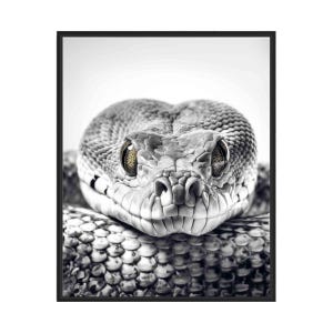 Snake Black and White Animal Art Print, Wall Art Poster, Original Paint Artwork, Artwork Decor