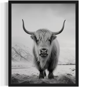 Yak Black and White Animal Art Print, Wall Art Poster, Original Paint Artwork, Artwork Decor