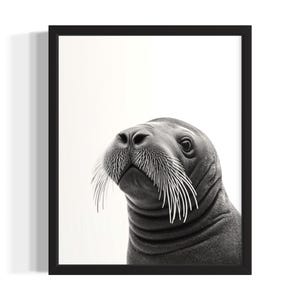 Walrus Animal Black and White Poster Art Print, Living Room Wall Art Poster, Original Paint Artwork, Artwork Decor