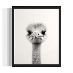 Ostrich Animal Black and White Poster Art Print, Living Room Wall Art Poster, Original Paint Artwork, Artwork Decor