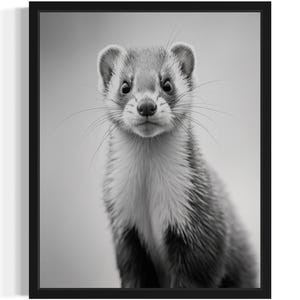 Ferret Black and White Animal Art Print, Wall Art Poster, Original Paint Artwork, Artwork Decor