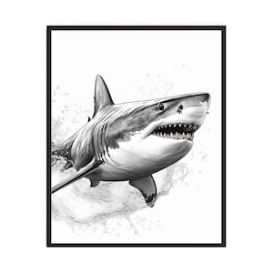 Shark Black and White Animal Art Print, Wall Art Poster, Original Paint Artwork, Artwork Decor
