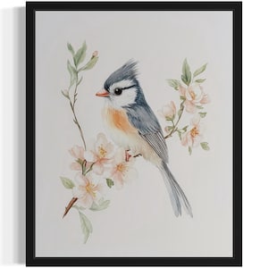 Tufted Titmouse Bird Watercolor Art Print, Wall Art Poster, Original Paint Artwork, Artwork Decor