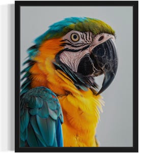 Parrot Animal Wildlife Art Print, Wall Art Poster, Original Paint Artwork, Artwork Decor
