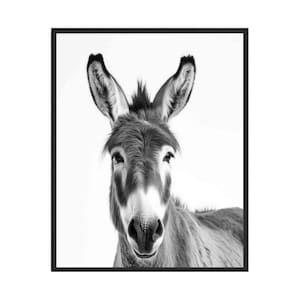 Donkey Black and White Animal Art Print, Wall Art Poster, Original Paint Artwork, Artwork Decor