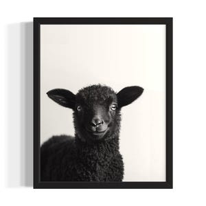 Sheep Animal Black and White Poster Art Print, Living Room Wall Art Poster, Original Paint Artwork, Artwork Decor