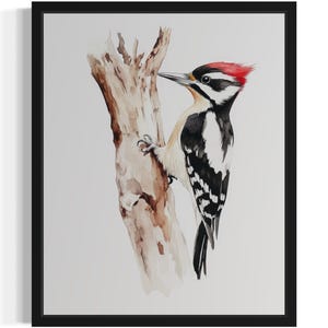 Woodpecker Bird Watercolor Art Print, Wall Art Poster, Original Paint Artwork, Artwork Decor