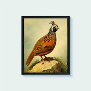 Quail Bird Vintage Art Print, Wall Art Poster, Original Paint Artwork, Artwork Decor